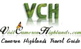 Visit Cameron Highlands